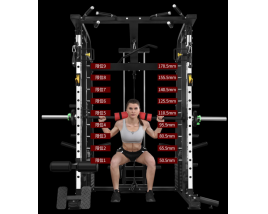 Wholesale Smith squatting machine for fitness expert/squat rack