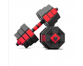 Wholesale Cement Adjustable Dumbbell Fitness Barbell Dumbbell Set Hand Weight Gym Equipment