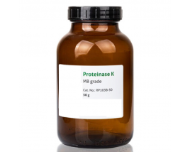 High Quality Proteinase K Powder