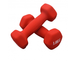 Wholesale Cast Iron Rubber Coated Dumbbell Fitness Equipment