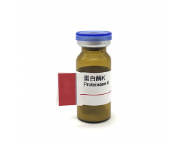 Proteinase K Molecular Biology Grade With Stock CAS NO. 925-54-2