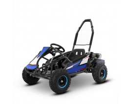 New Design Cheap Go Karts With CE EPA ECE