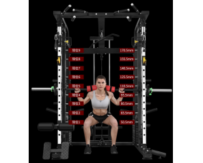 Wholesale Smith squatting machine for fitness expert/squat rack