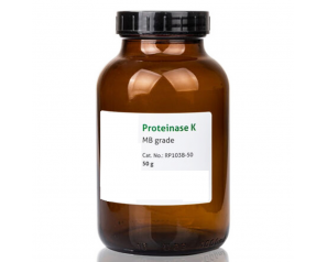 High Quality Proteinase K Powder