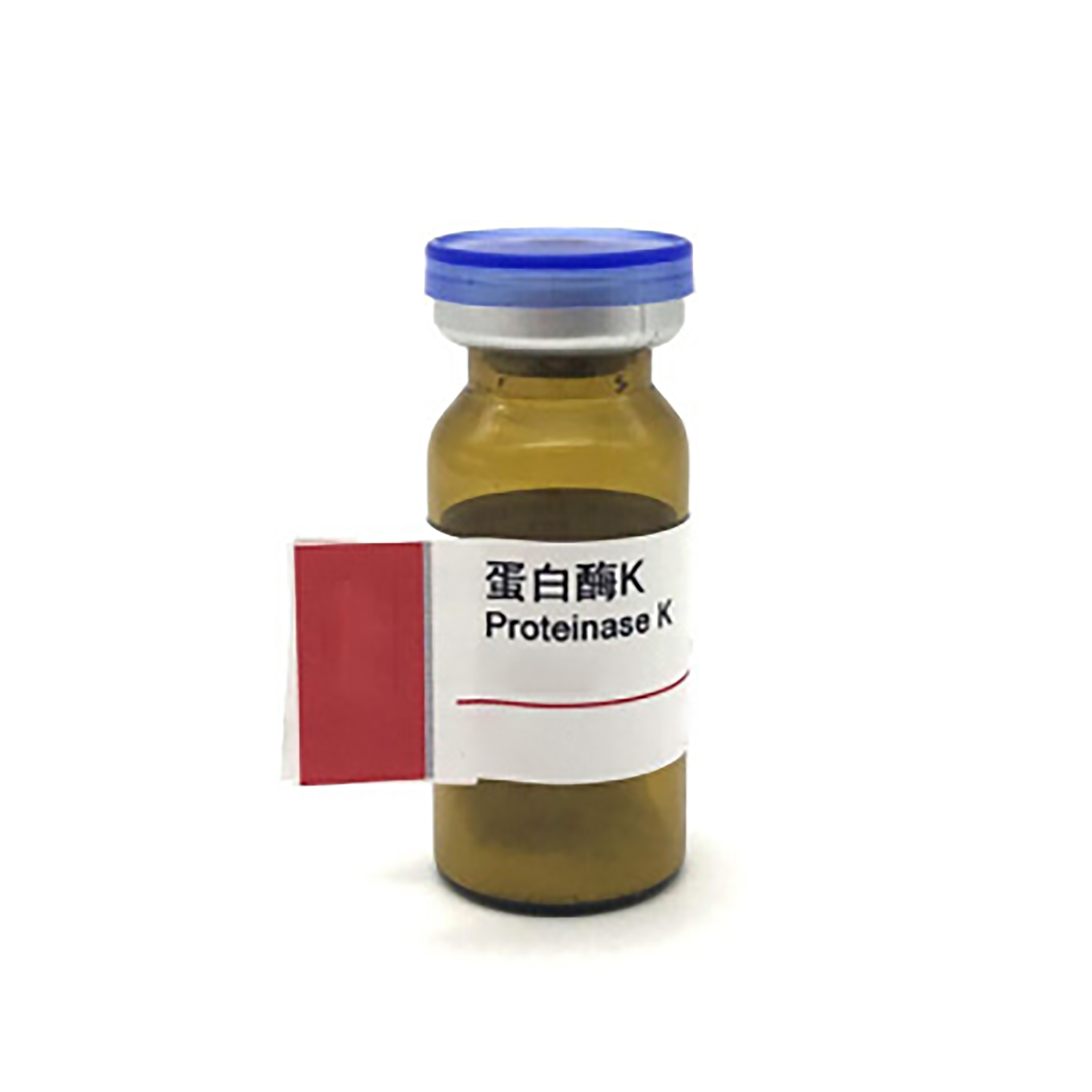 Proteinase K with stock 5g